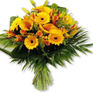 Bouquet flowers PNG