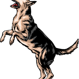 German Shepherd PNG