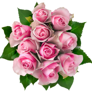 Bouquet flowers PNG