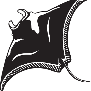 Stingray PNG