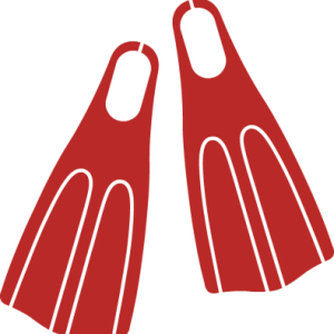 Flippers PNG