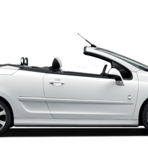 Peugeot PNG