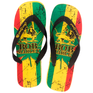 Flip-flops PNG