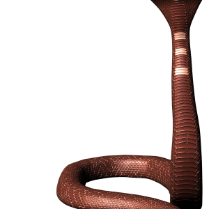 Cobra PNG