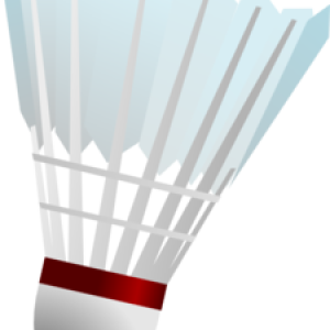 Badminton volant PNG image