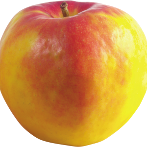 Apple PNG