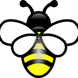 Bee PNG