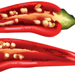Chili pepper PNG