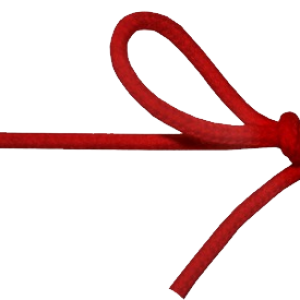 Shoelaces PNG