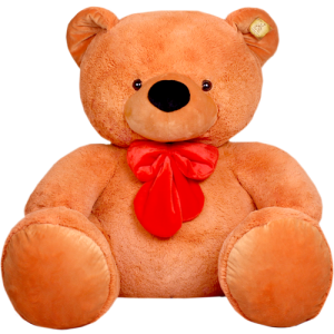 Teddy bear PNG