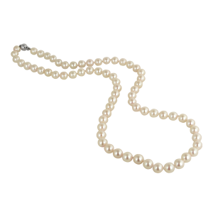 Pearl PNG
