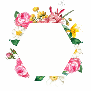 Floral frame PNG