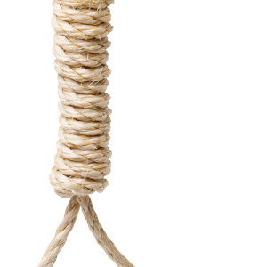 rope loop PNG