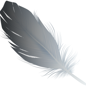 Feather gray PNG