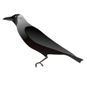 Raven PNG