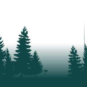 Forest PNG