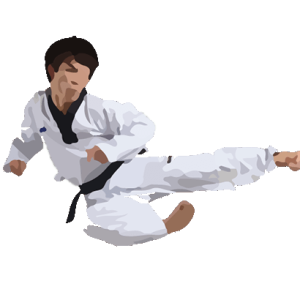 Karate PNG