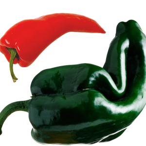 Bell pepper PNG