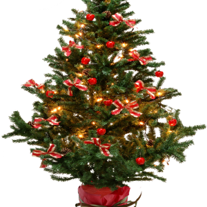 Christmas fir-tree PNG image