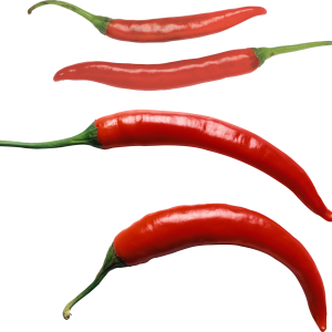 Chili pepper PNG