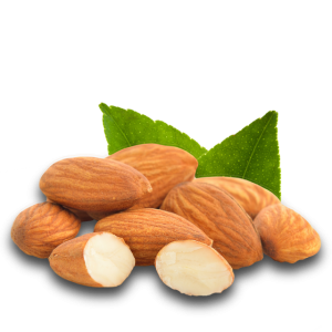 Almond PNG