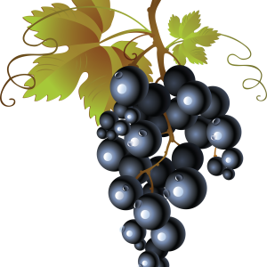 Grape PNG image