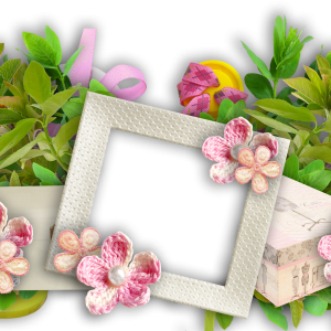 Floral frame PNG