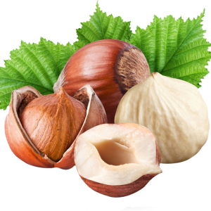 hazelnut PNG