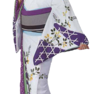 Kimono PNG