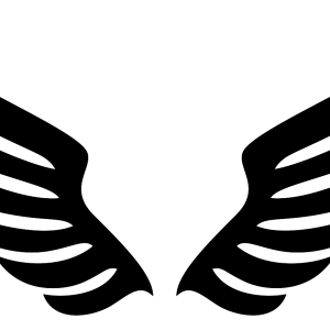Wings PNG