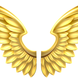 Wings PNG