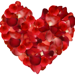 Heart PNG
