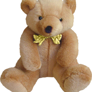 Teddy bear PNG
