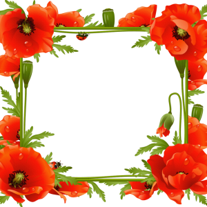 Floral frame PNG