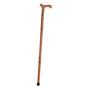 Walking stick PNG