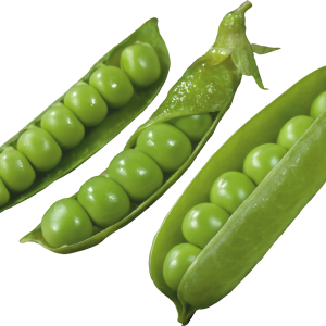 Pea PNG