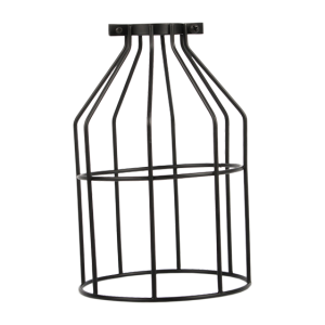 Cage bird PNG