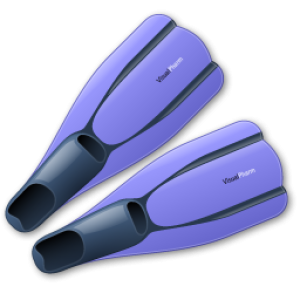 Flippers PNG