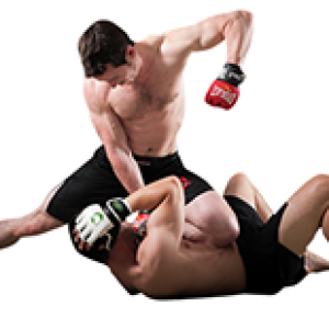 Mixed martial arts PNG, MMA PNG