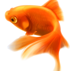 Fish PNG