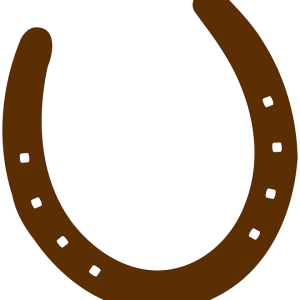 Horseshoe PNG
