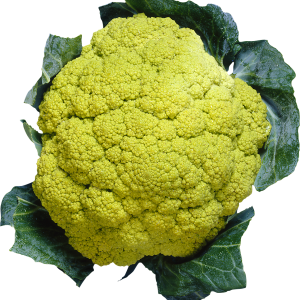 Cauliflower PNG