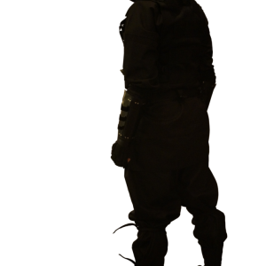 Ninja PNG