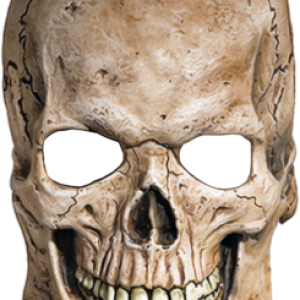 Skull PNG image