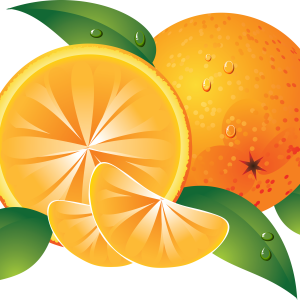 Oranges drawing PNG image
