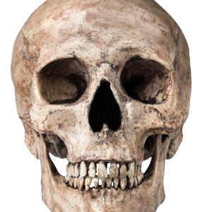 Skull PNG