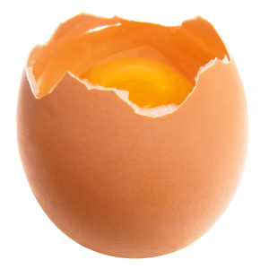 egg PNG