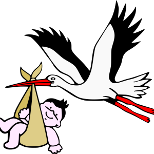 stork baby PNG