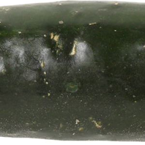 Salted cucumber PNG