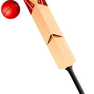 Cricket PNG